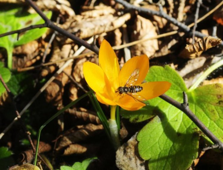 Слънчево време с малко дъжд в планините