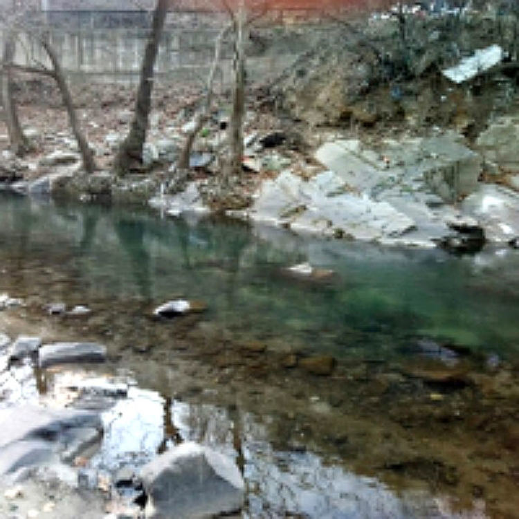 Сигнал за замърсяване на Чепеларска река