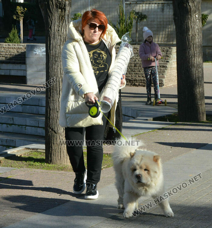 Слънчево време в петък, но с умерен вятър
