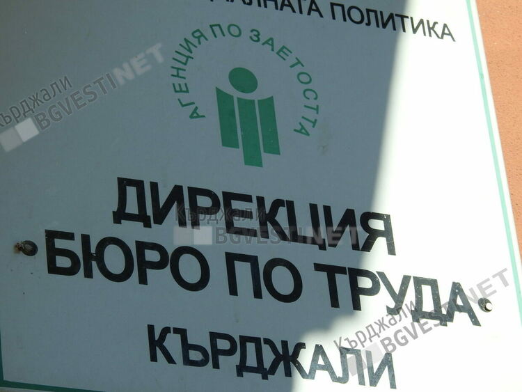 Най-голямо е текучеството на кадри в сектор "Услуги" в Кърджалийско,най-малко в аграрния сектор