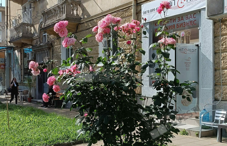 Предимно облачно и тихо време днес в Кърджали