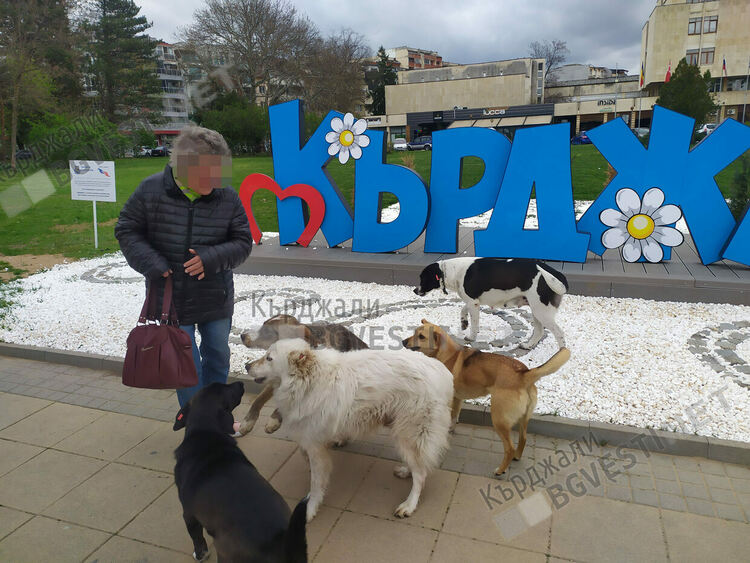216 кърджалийци са нахапани от кучета за година,20% са деца