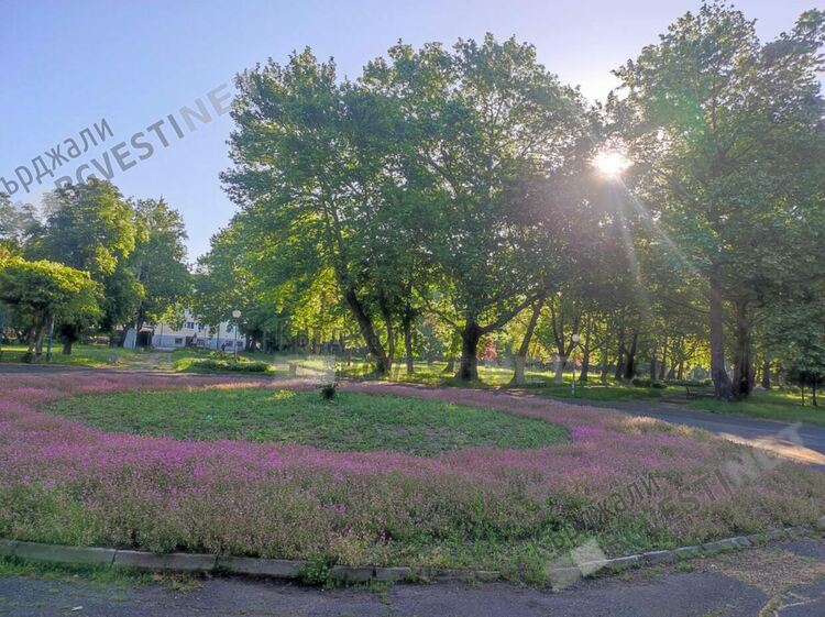 Предимно слънчево със слаб вятър днес в Кърджали