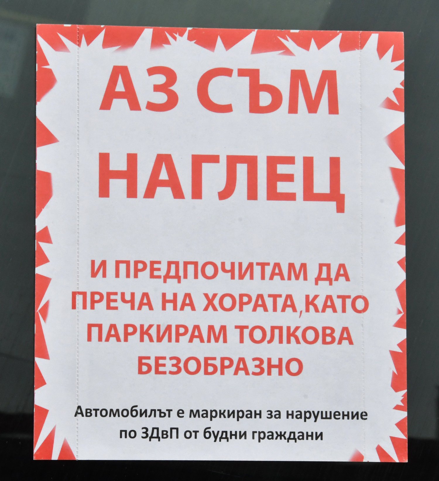 Снимка на деня