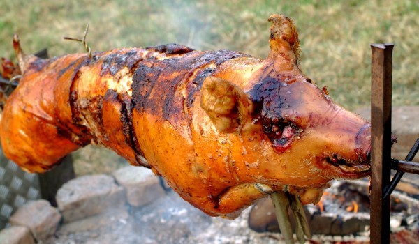 Печено прасенце